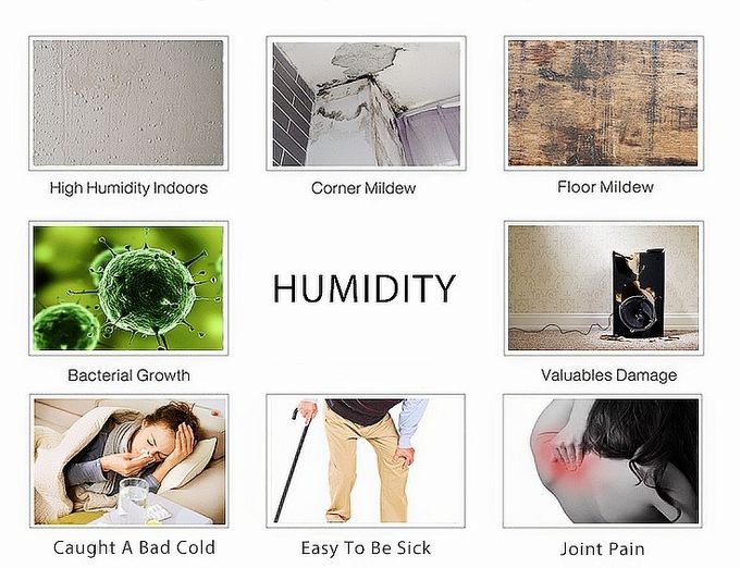 DKD-Z12A 12L new designed home portable dehumidifier and air purifier with optional HEPA and active carbon filter